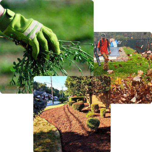 A collage of landscaping services, including a close-up of a gloved hand pruning plants, a professional using a leaf blower for yard cleanup, and a neatly mulched landscape bed, showcasing meticulous attention to detail and care in maintaining residential landscapes.
